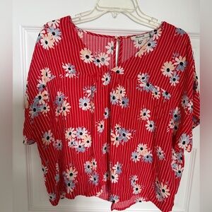Madewell Red Floral Stripe short sleeve Blouse.boho cottage core feminine top.